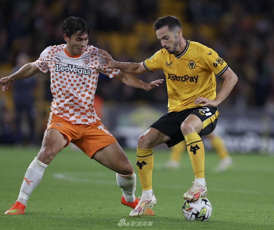 究也会更加 究也会更加